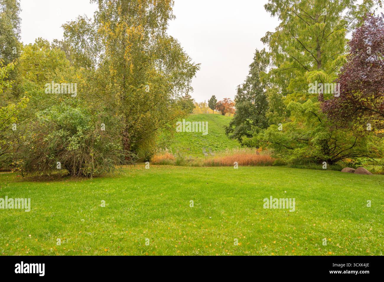 Ampia vista su un parco erboso circondato da alberi autunnali. I colori delicati si fondono armoniosamente sotto la luce nuvolosa. Foto Stock