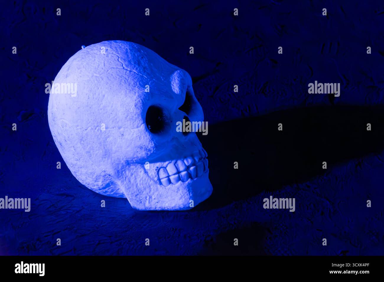 Luci di Halloween, spaventosa scena spaventosa, festival autunnale, teschio Foto Stock