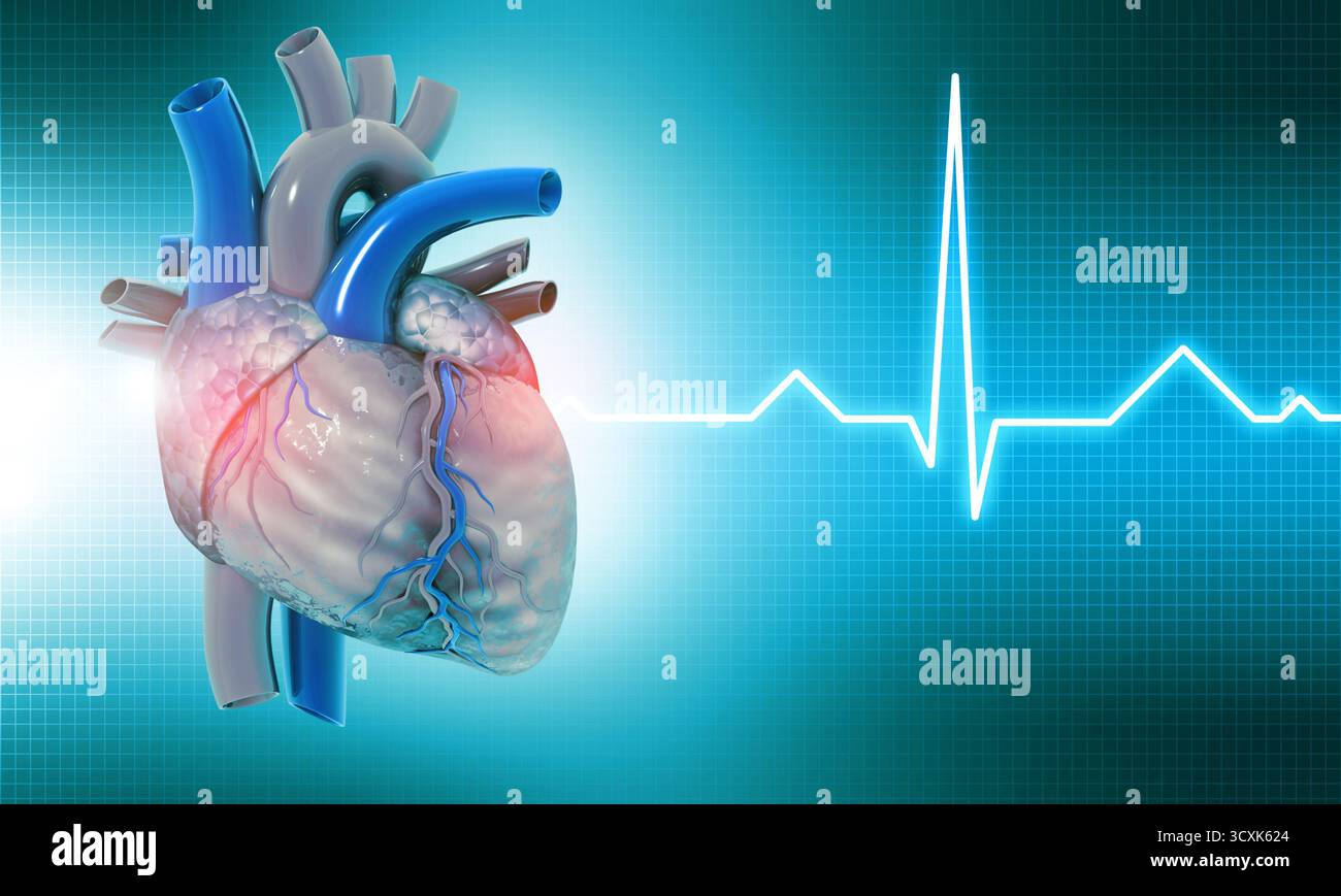 Cuore umano su background medico. illustrazione 3d. Foto Stock