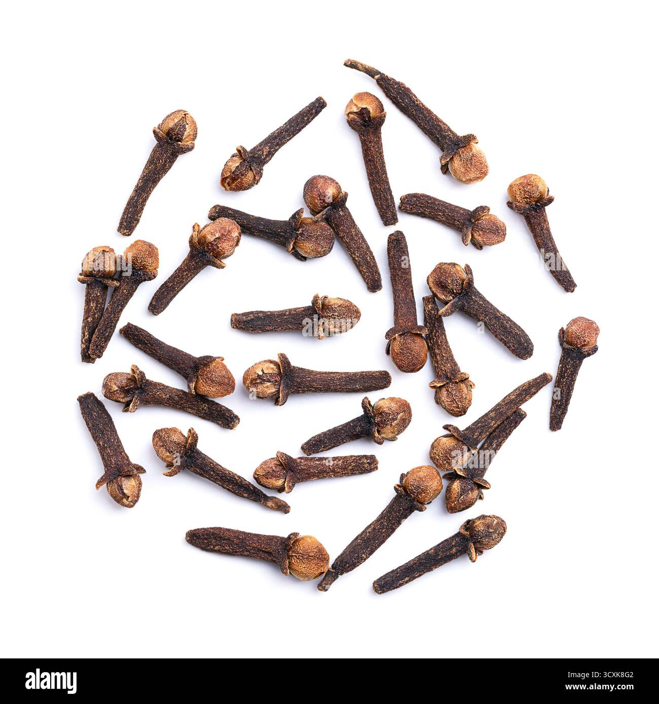 Chiodi di garofano secchi su sfondo bianco. Mazzo di boccioli aromatici dell'albero Syzygium aromaticum, utilizzati come spezie, aromi o fragranze. Foto Stock