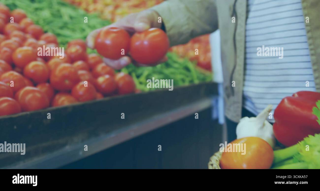 Selezione di un acquirente maschio che ispeziona i pomodori maturi nel corridoio della spesa, con cestello in tessuto e spazio di copia Foto Stock
