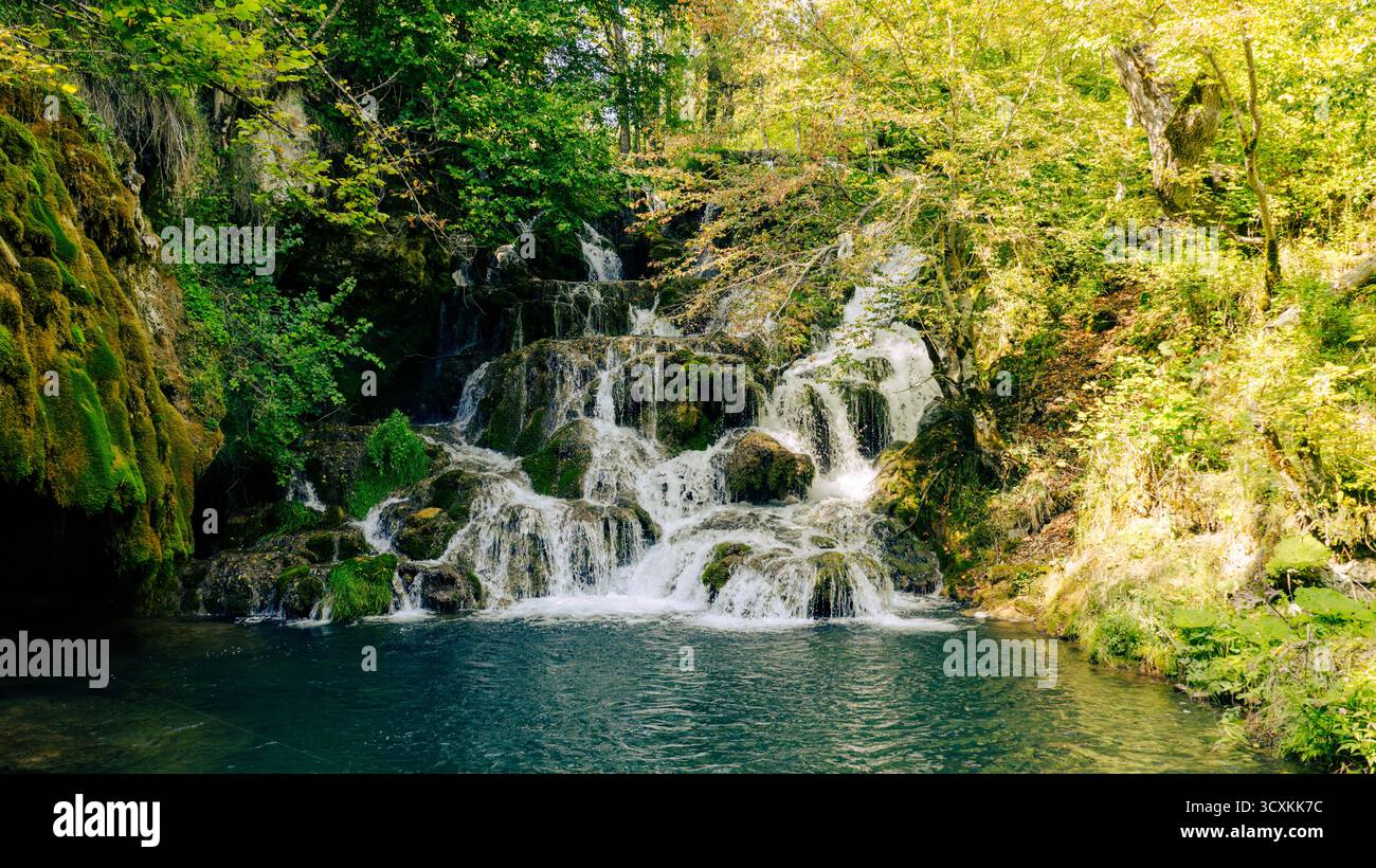 Piccola cascata circondata da muschio e alberi nella natura incontaminata della foresta Foto Stock
