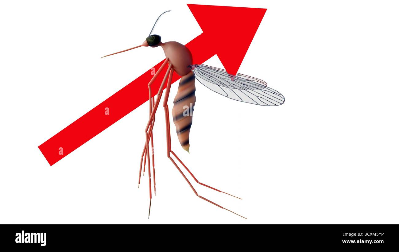 Un'immagine 3d presenta una zanzara su sfondo nero, con una freccia rossa prominente rivolta verso l'alto e sul corpo Foto Stock