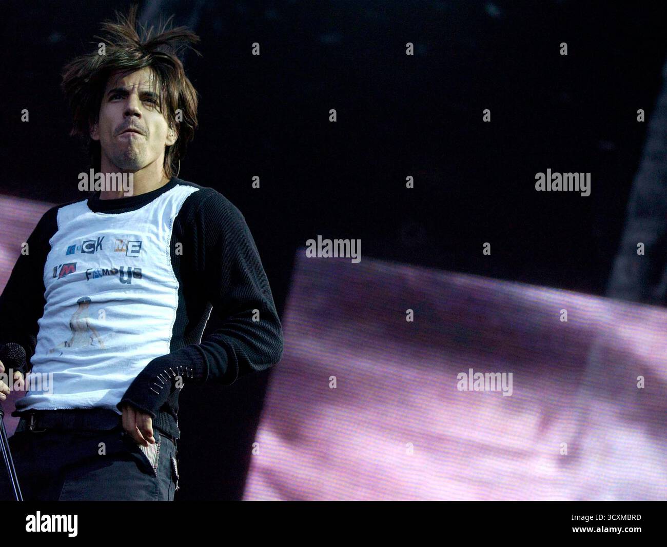 Red Hot Chili Peppers si esibisce a Lansdowne, Dublino, 25 giugno 2002 Foto Stock