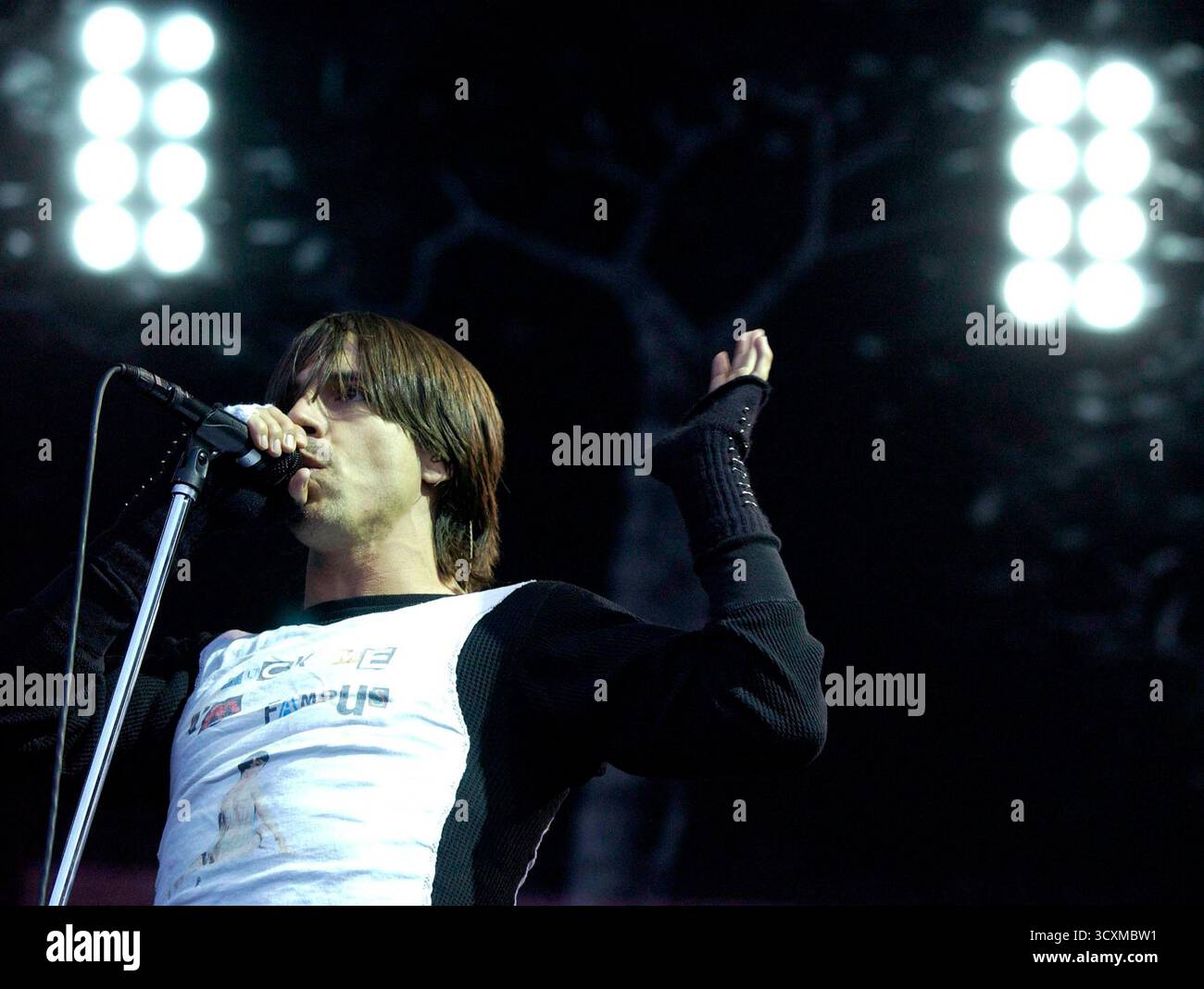Red Hot Chili Peppers si esibisce a Lansdowne, Dublino, 25 giugno 2002 Foto Stock