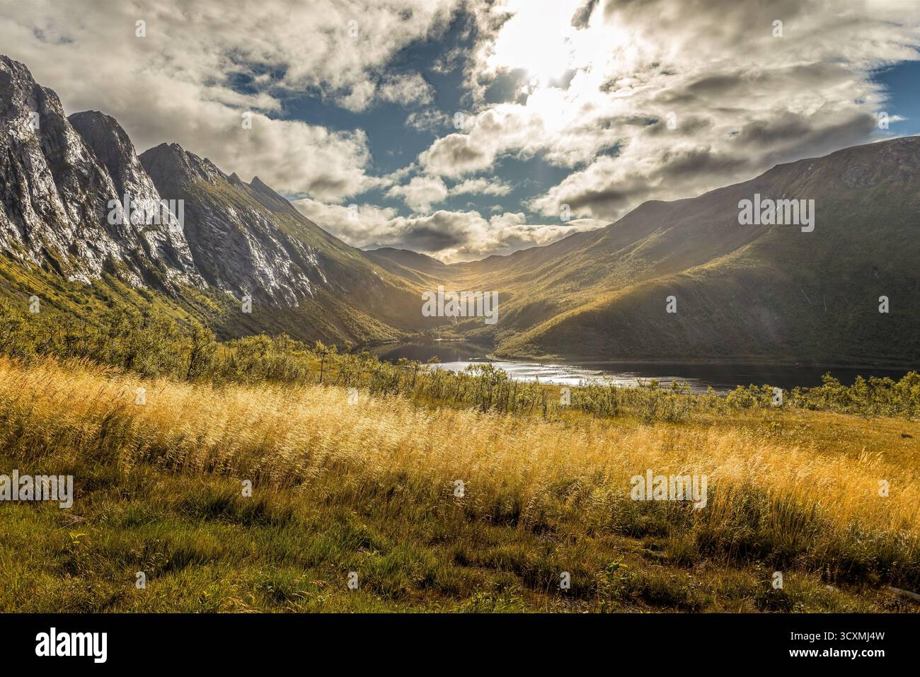 Vista panoramica sullo Skipsfjord sull'isola di Senja, Norvegia Foto Stock