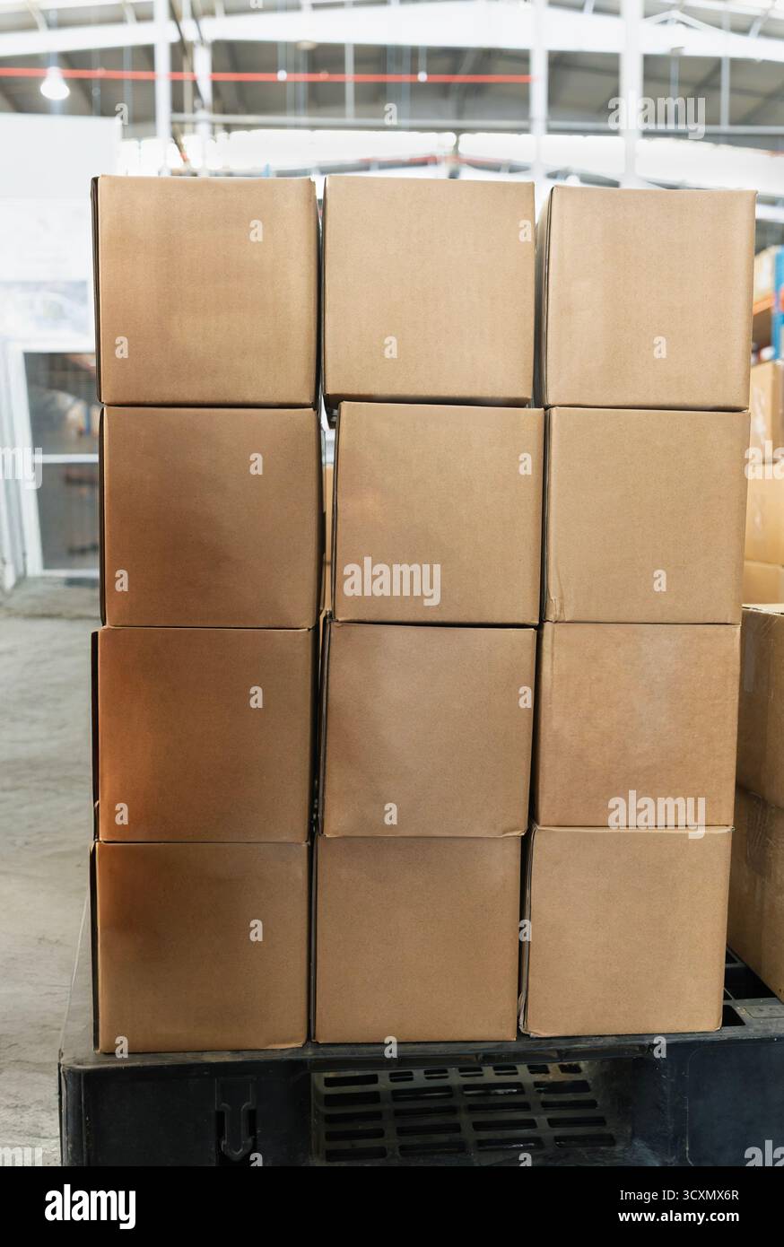 scatole di cartone su pallet, centro di distribuzione magazzino, stoccaggio per produttori, scaffalatura di scaffali industriali, Foto Stock