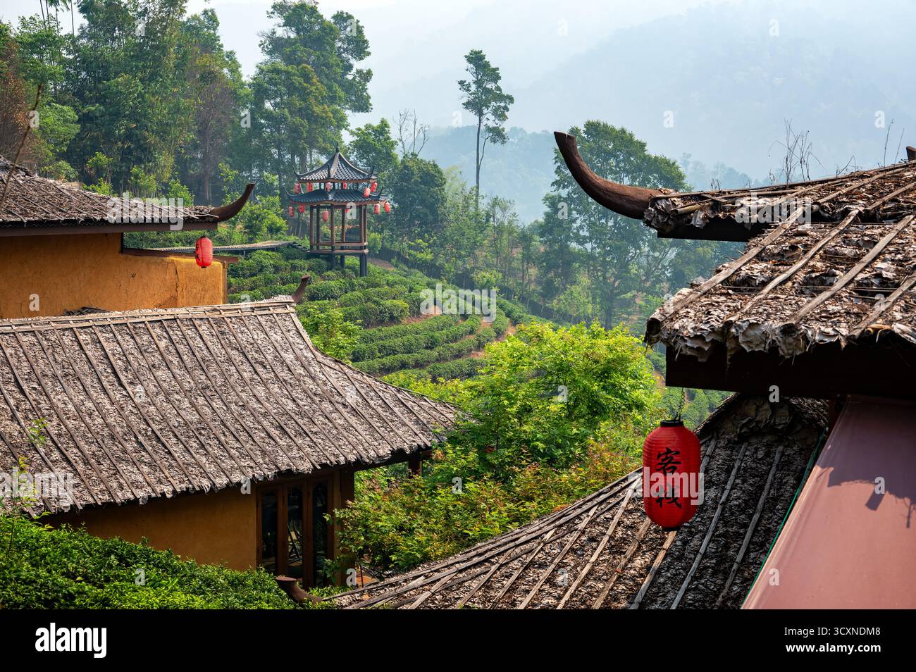 Lanterna rossa e piantagione di tè a Ban Rak Thai, Thailandia Foto Stock