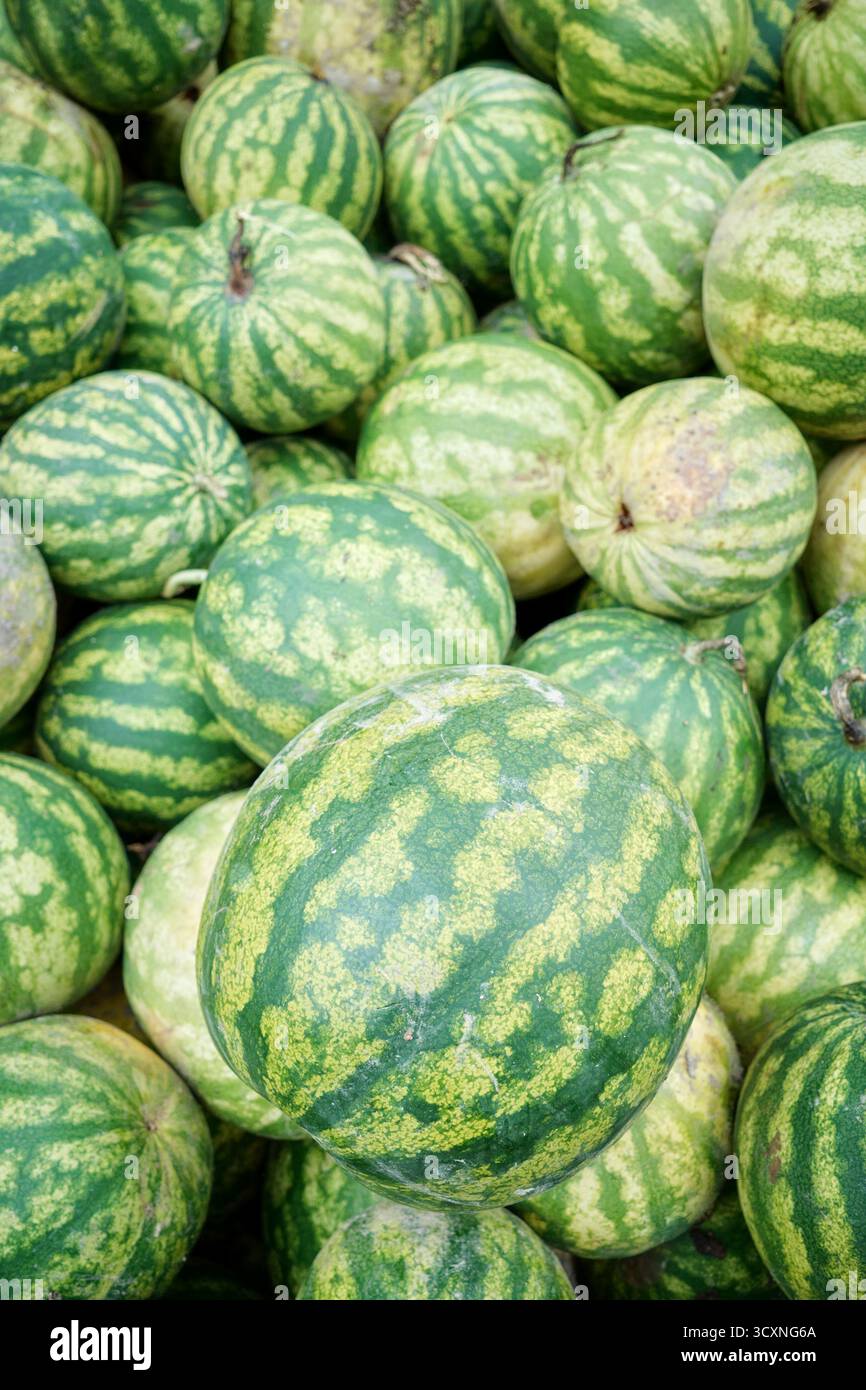 Angurie biologiche appena raccolte, focalizzazione selettiva. Foto Stock