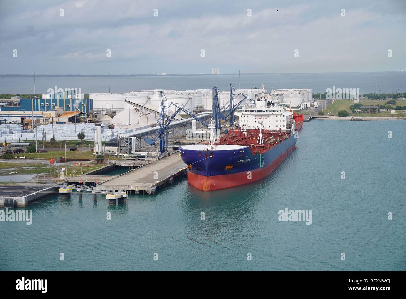 Scenario portuale industriale con la nave da carico Salam Orient attraccata accanto a gru e depositi bianchi lungo la costa atlantica della Florida Foto Stock