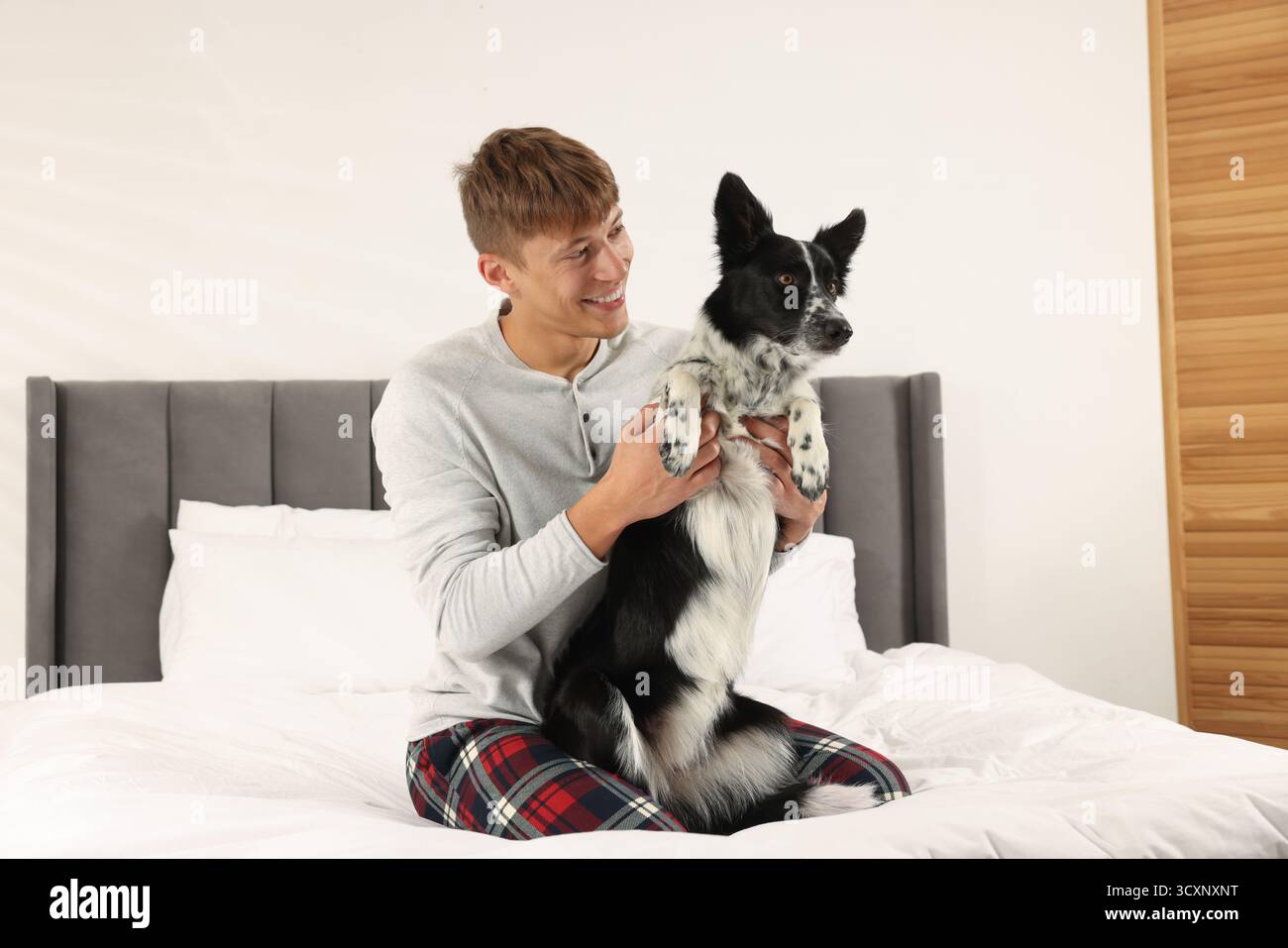 Hotel in cui sono ammessi gli animali domestici. L'uomo e il suo carino cane a letto al chiuso Foto Stock