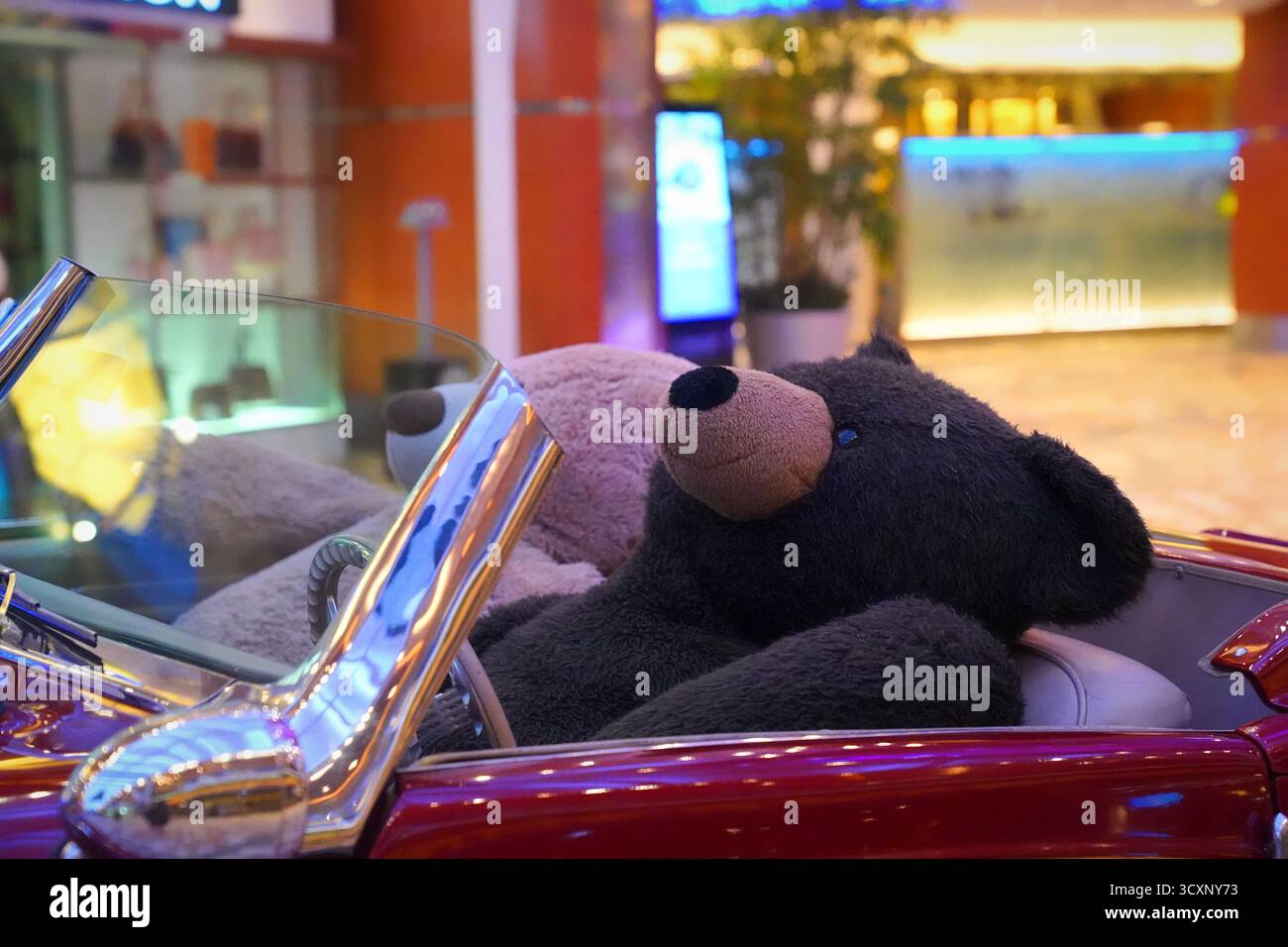 Vista ravvicinata di orsi di peluche seduti in una classica Mercedes-Benz Cabriolet esposta a bordo dell'Allure of the Seas dei Caraibi reali Foto Stock