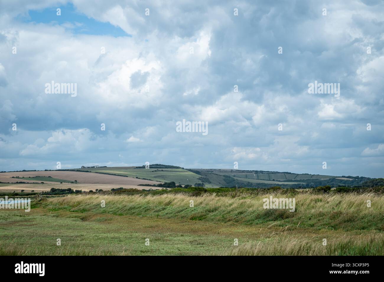 Seven Sisters Cliffs – costa di Chalk dell'East Sussex, Inghilterra Foto Stock