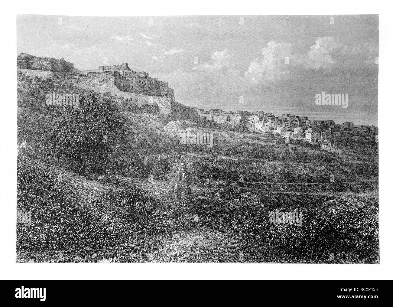 Line Block Engraving of Bethlehem incisa da Greatbach da una fotografia di Frith del XIX secolo The Self-Interpreting Family Bible William Macken Foto Stock