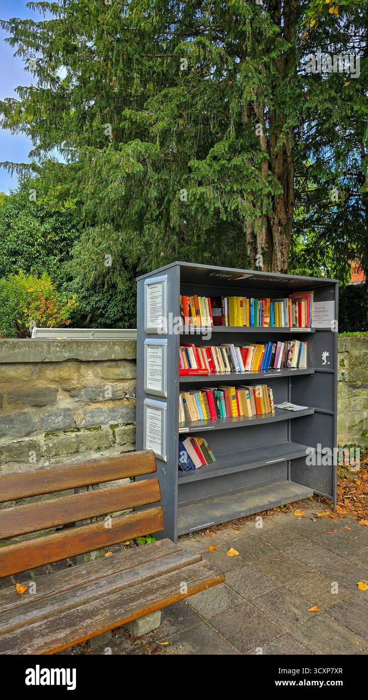 Uberlingen, Germania - 19 settembre 2025. Una biblioteca aperta nel parco con panchina in legno e alberi verdi. Conoscenza e natura. Foto Stock