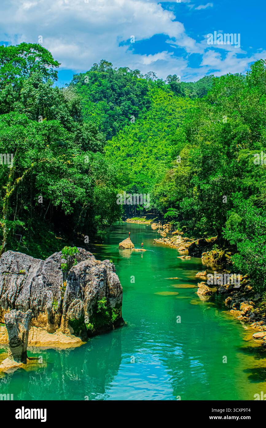 Paesaggio fluviale nella foresta di Semuc Champey con giungla e grandi alberi Foto Stock