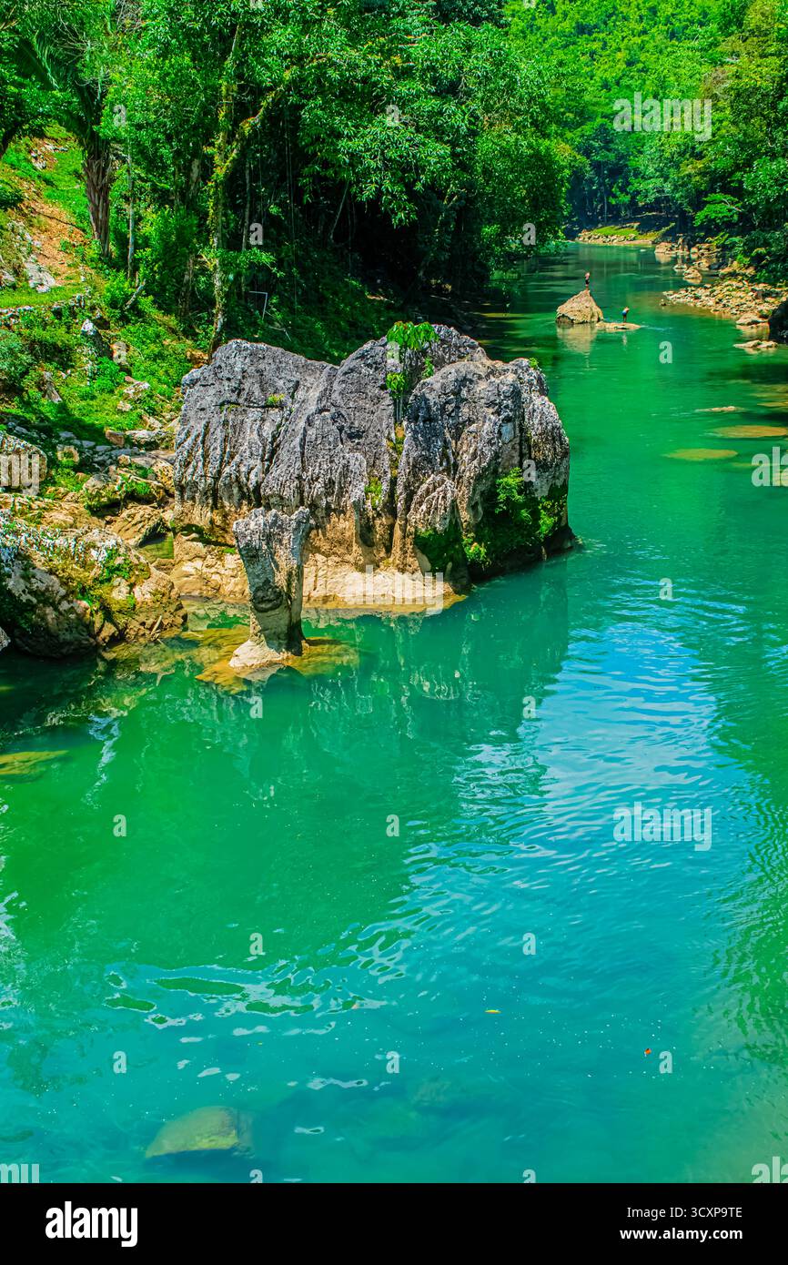Paesaggio fluviale nella foresta di Semuc Champey con giungla e grandi alberi Foto Stock