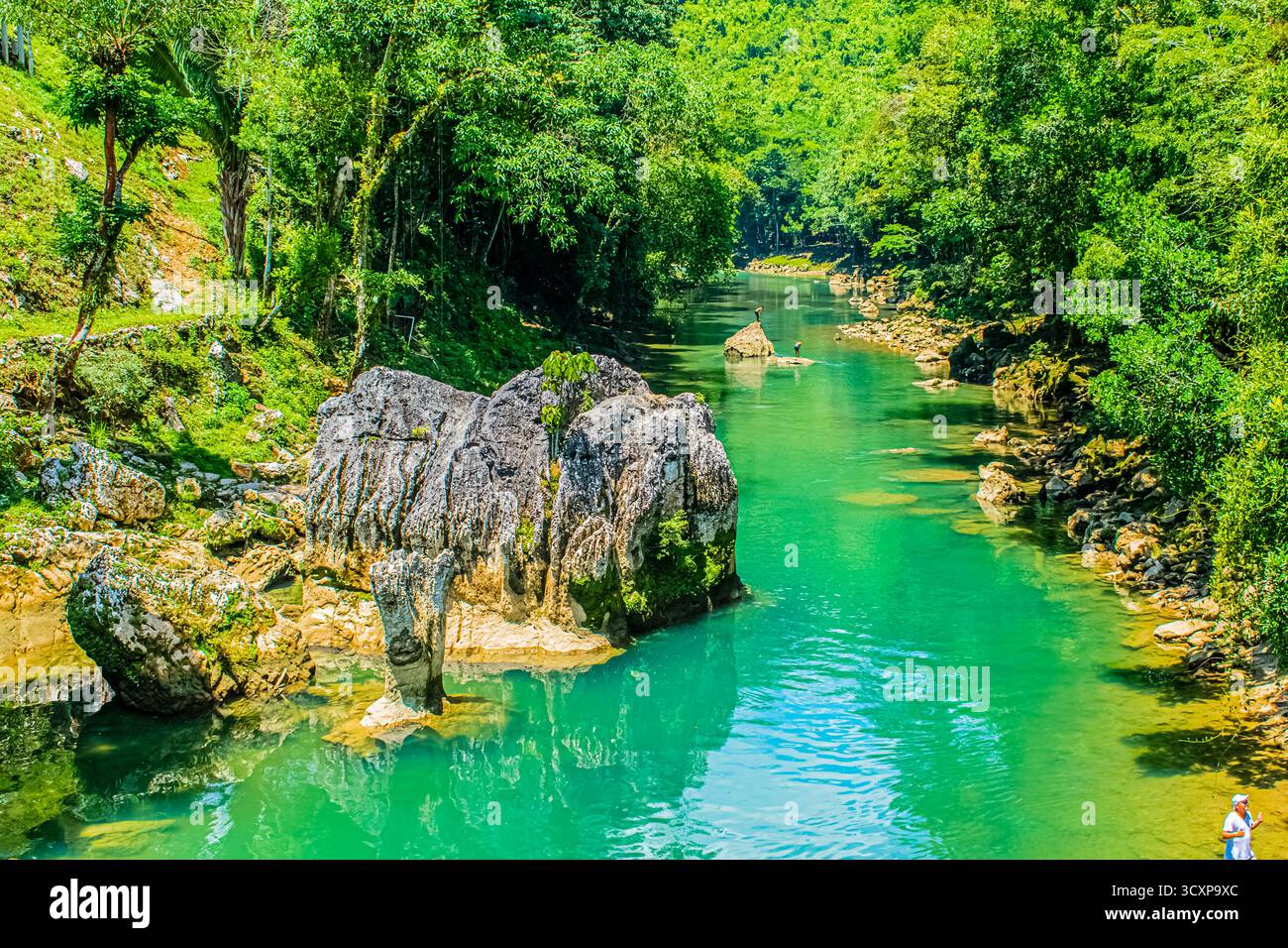 Paesaggio fluviale nella foresta di Semuc Champey con giungla e grandi alberi Foto Stock
