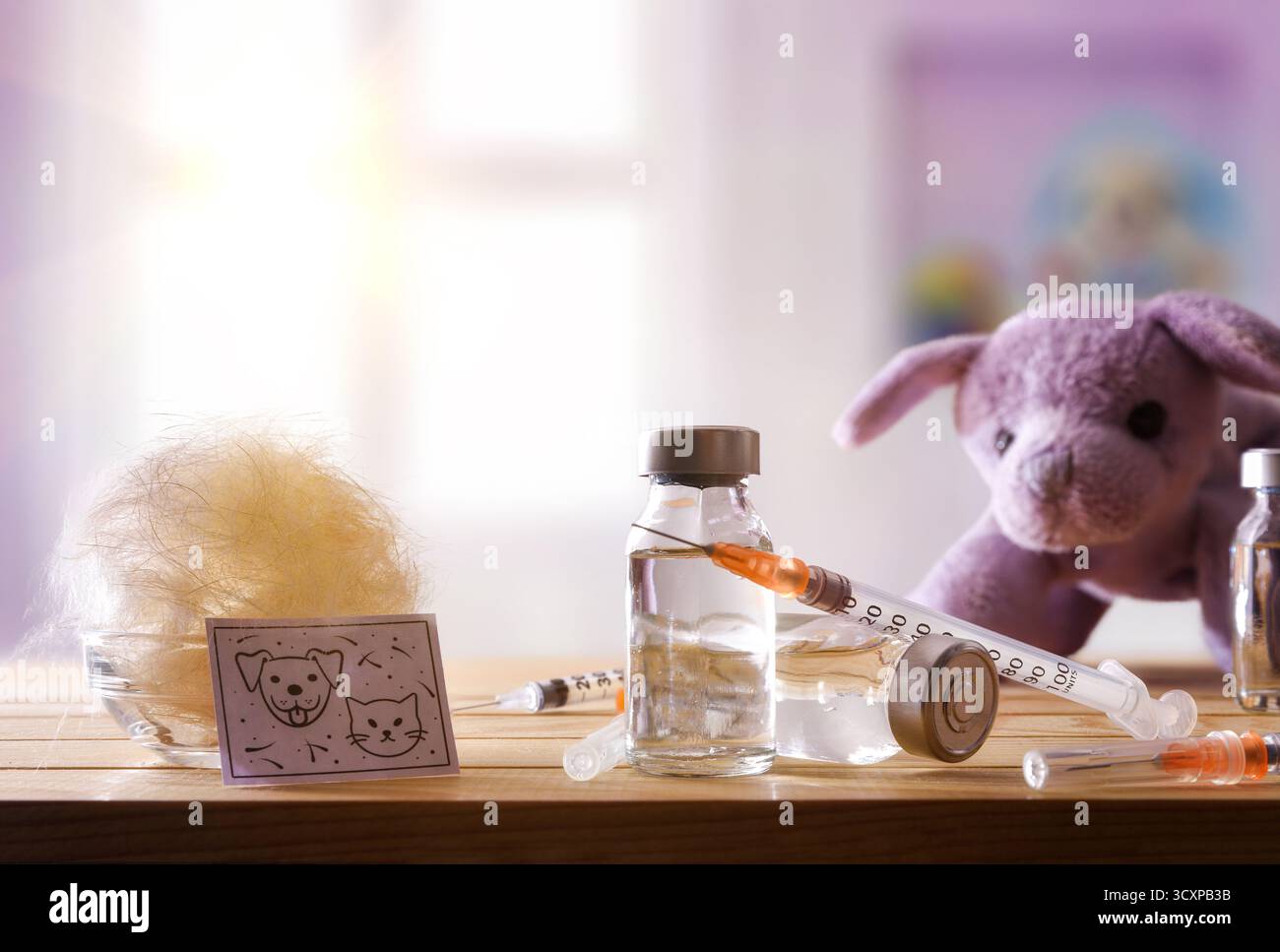 Concetto di vaccinazione infantile contro il pelo e i peli di animali domestici con fiale e siringhe su un tavolo di legno con una ciotola di allergeni e poster con inf Foto Stock