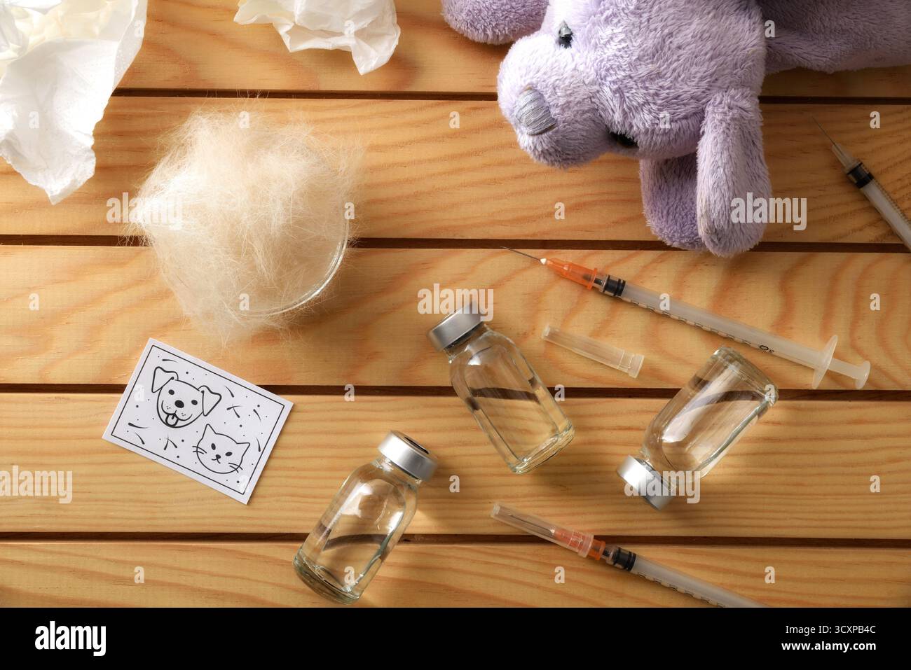 Concetto di vaccinazione infantile contro il pelo e i peli di animali domestici con fiale e siringhe su un tavolo di legno con una ciotola di allergeni e poster con inf Foto Stock