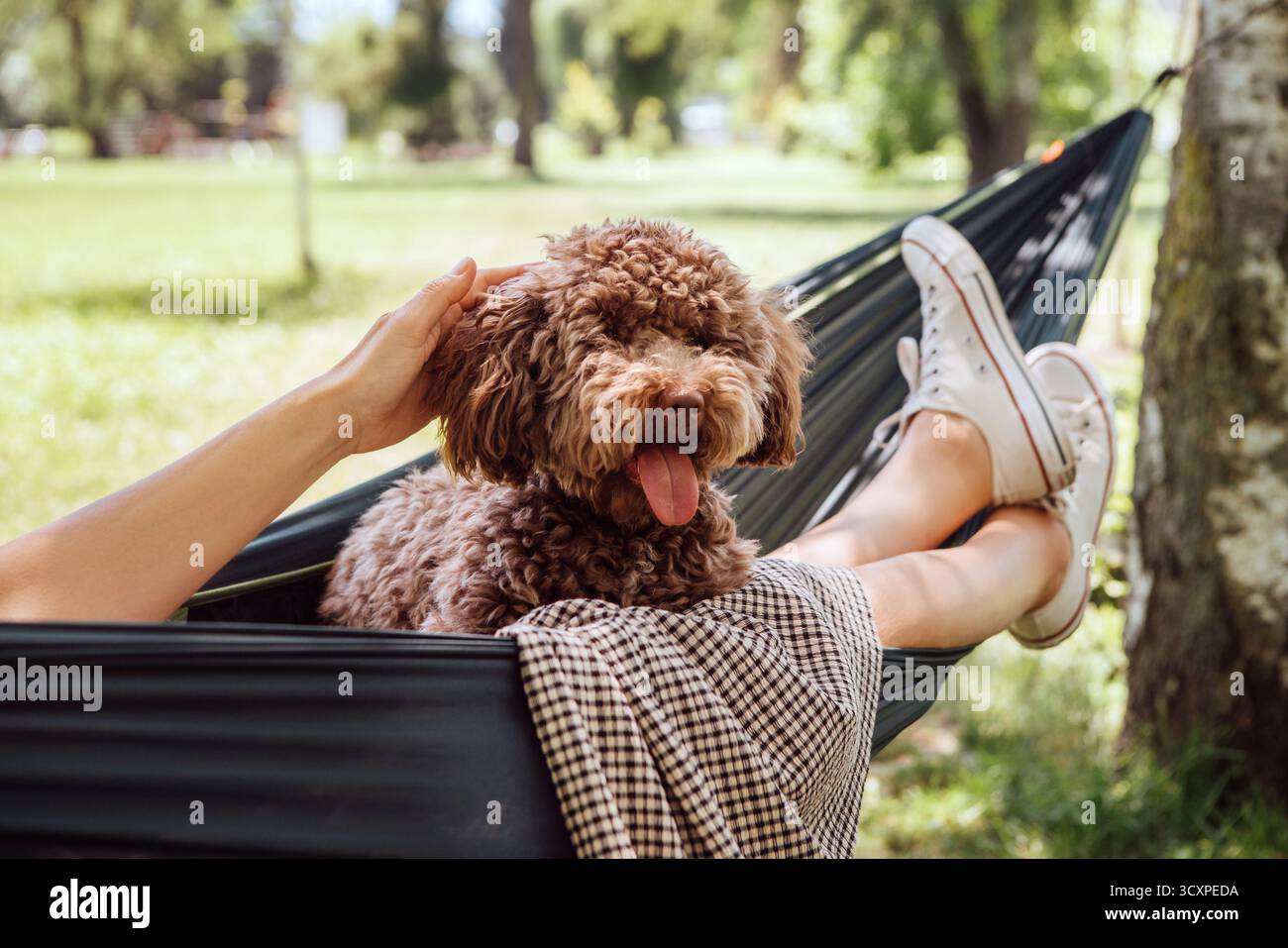 Donna che si rilassa in amaca accarezzare il cane morbido Maltipoo marrone nella giornata di sole. Sia contento che felice. Questa tranquilla ambientazione all'aperto cattura la gioia Foto Stock