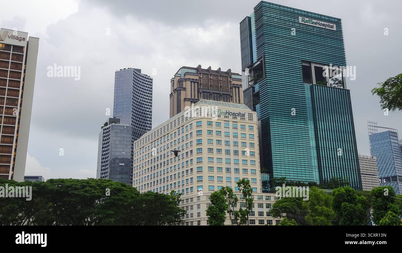 Vista esterna del Raffles Hospital di Singapore, che mostra la sua architettura moderna e la facciata bianca pulita in un ambiente urbano. Foto Stock
