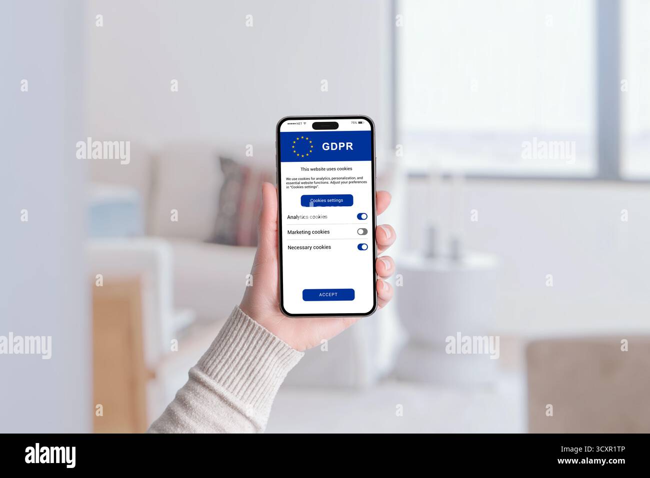 Schermata di consenso dei cookie GDPR con opzioni per l'analisi, il marketing e i cookie necessari, che rappresentano la trasparenza, il consenso, e controllo dei dati da parte degli utenti Foto Stock