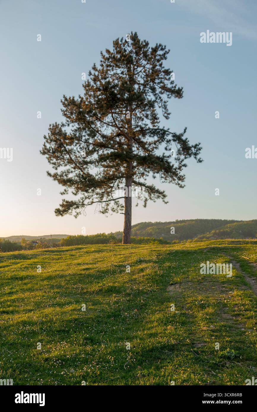 Bellezza naturale della Bosnia ed Erzegovina: Montagne, fiumi, foreste e parchi nazionali attraverso le Alpi Dinariche. Foto Stock