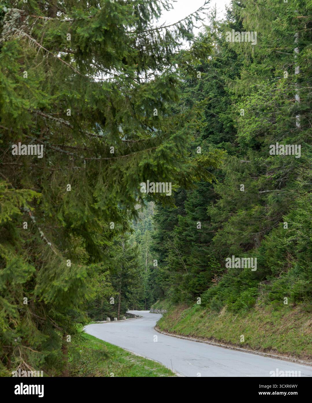 Bellezza naturale della Bosnia ed Erzegovina: Montagne, fiumi, foreste e parchi nazionali attraverso le Alpi Dinariche. Foto Stock