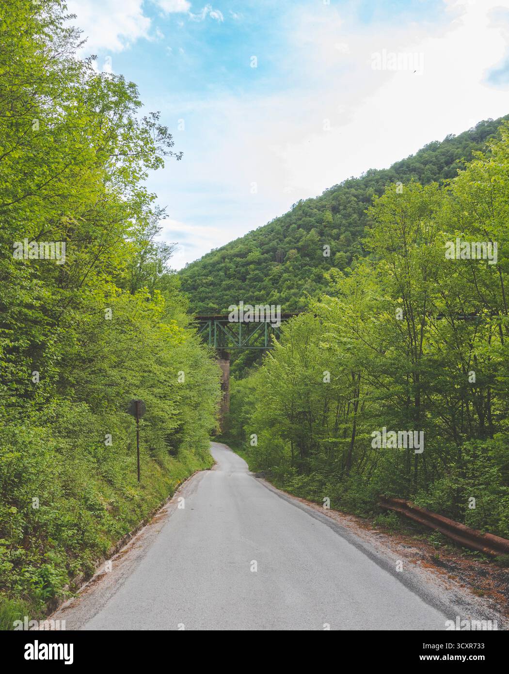 Bellezza naturale della Bosnia ed Erzegovina: Montagne, fiumi, foreste e parchi nazionali attraverso le Alpi Dinariche. Foto Stock