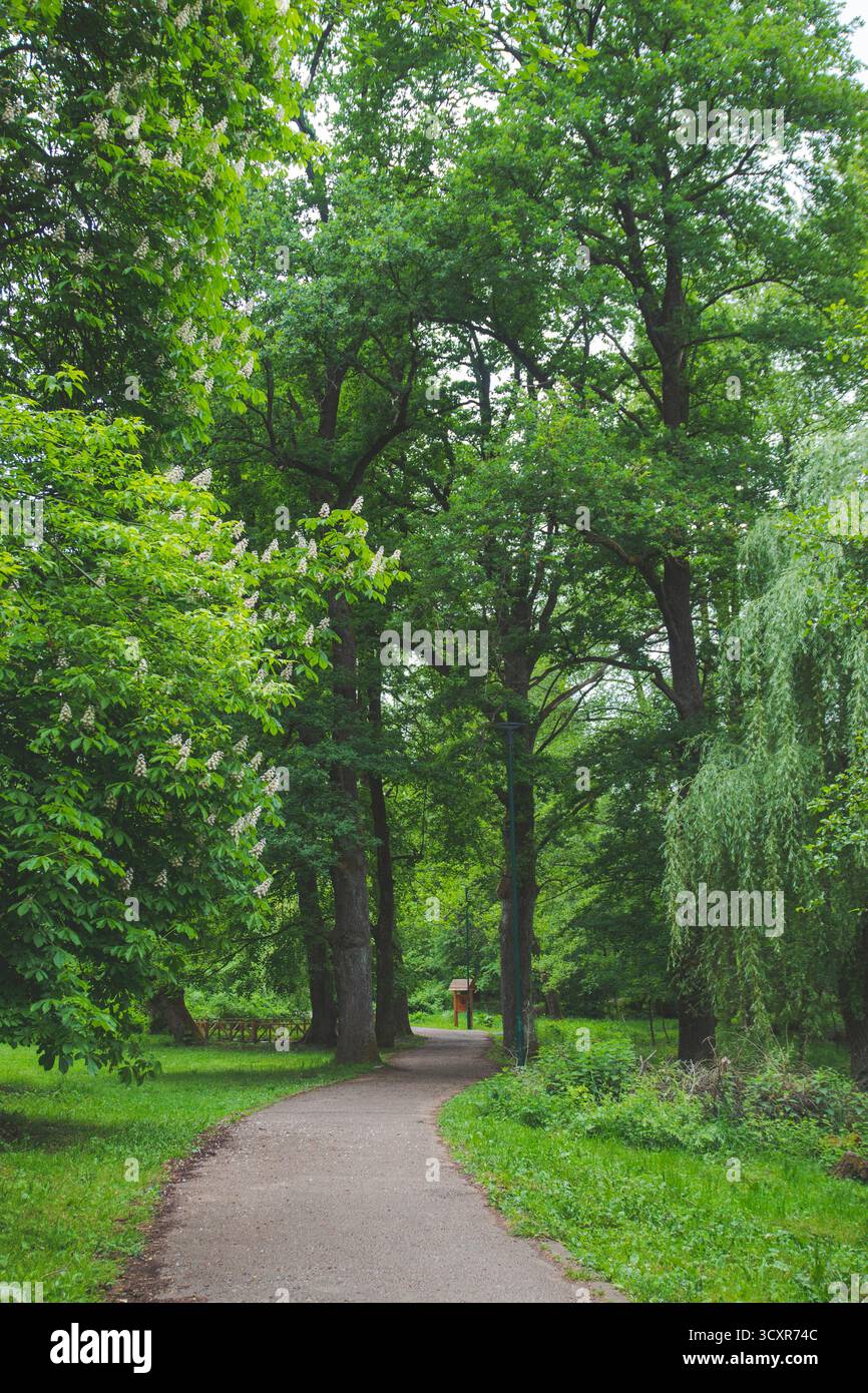 Bellezza naturale della Bosnia ed Erzegovina: Montagne, fiumi, foreste e parchi nazionali attraverso le Alpi Dinariche. Foto Stock