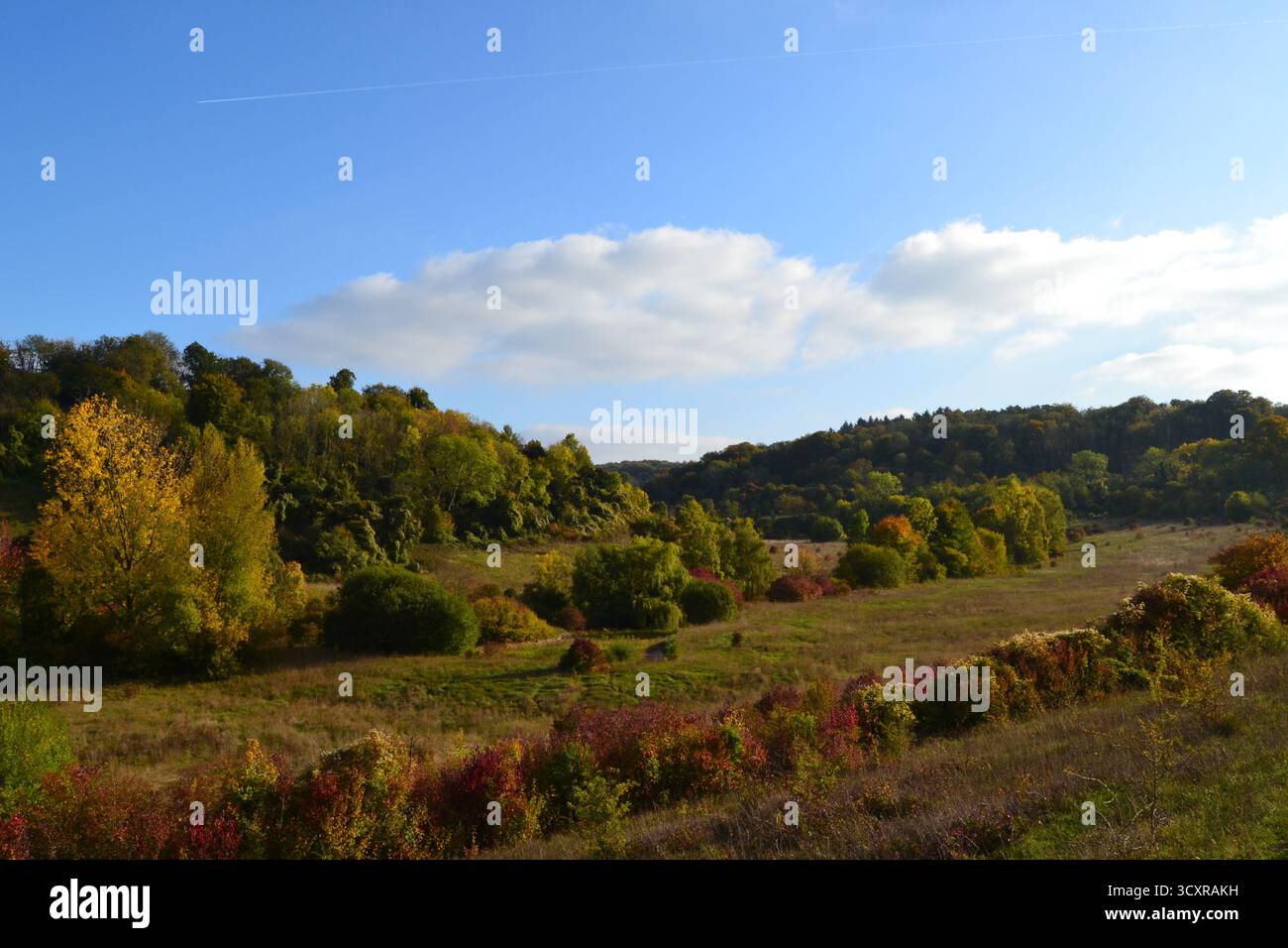 Una valle ad est del villaggio di Shoreham, Kent, chiamata Magpie Bottom e Fackenden Down, vicino a Darent Valley, all'inizio dell'autunno. Paese escursionistico vicino a Londra, Regno Unito Foto Stock