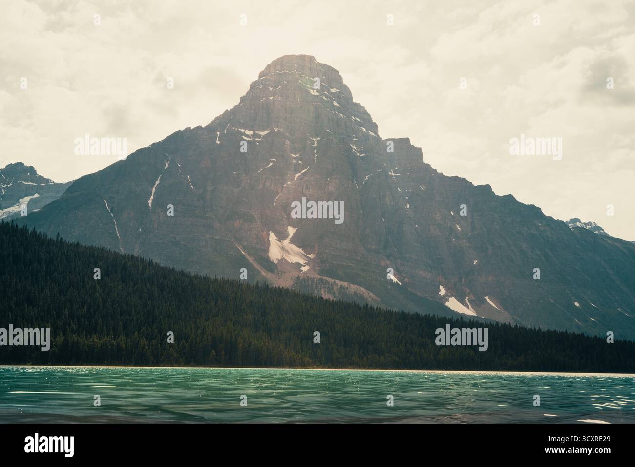 Vista sulle montagne con lago turchese e foresta. Lago Waterfowl, Banff National Park AB Foto Stock