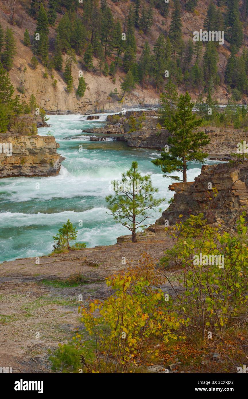 Aspro River Canyon con acque turchesi e scogliere boscose - scenario di vista escursionistico. Foresta nazionale di Kootenai nel Montana. Intaglia un canyon attraverso roc Foto Stock