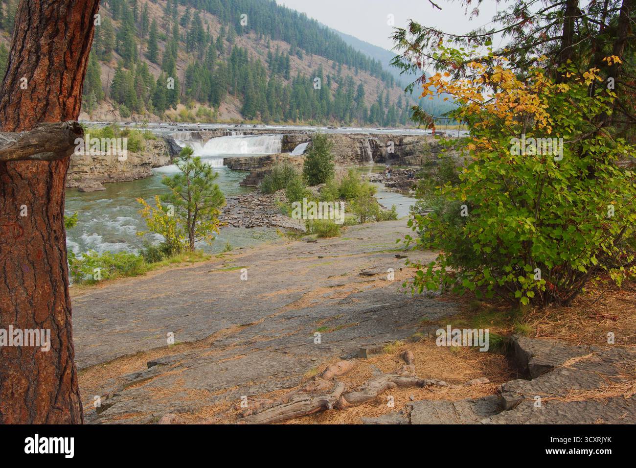 Tranquillo fiume di montagna con cascata, alberi e percorso roccioso nella foresta autunnale Kootenai National Forest in Montana. Attraverso un fiume roccioso, Foto Stock