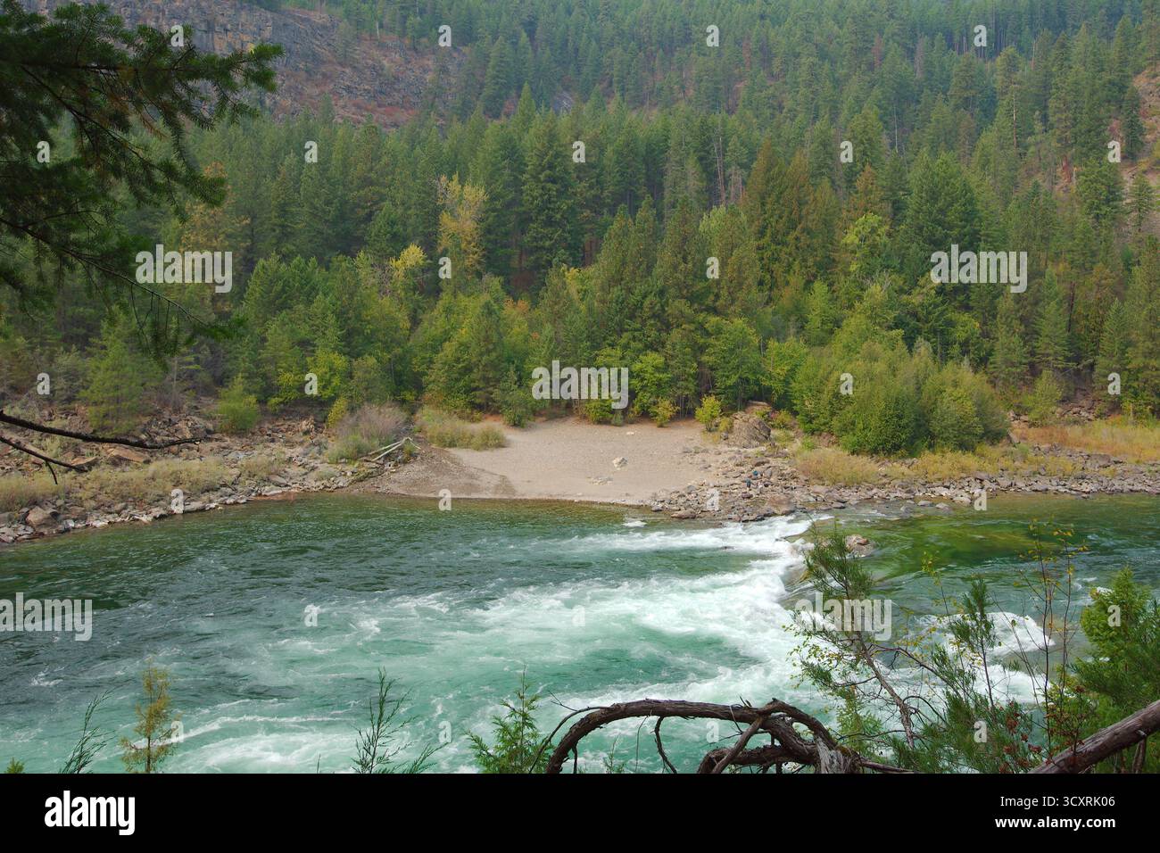 Aspro River Canyon con acque turchesi e scogliere boscose - scenario di vista escursionistico. Foresta nazionale di Kootenai nel Montana. Intaglia un canyon attraverso roc Foto Stock