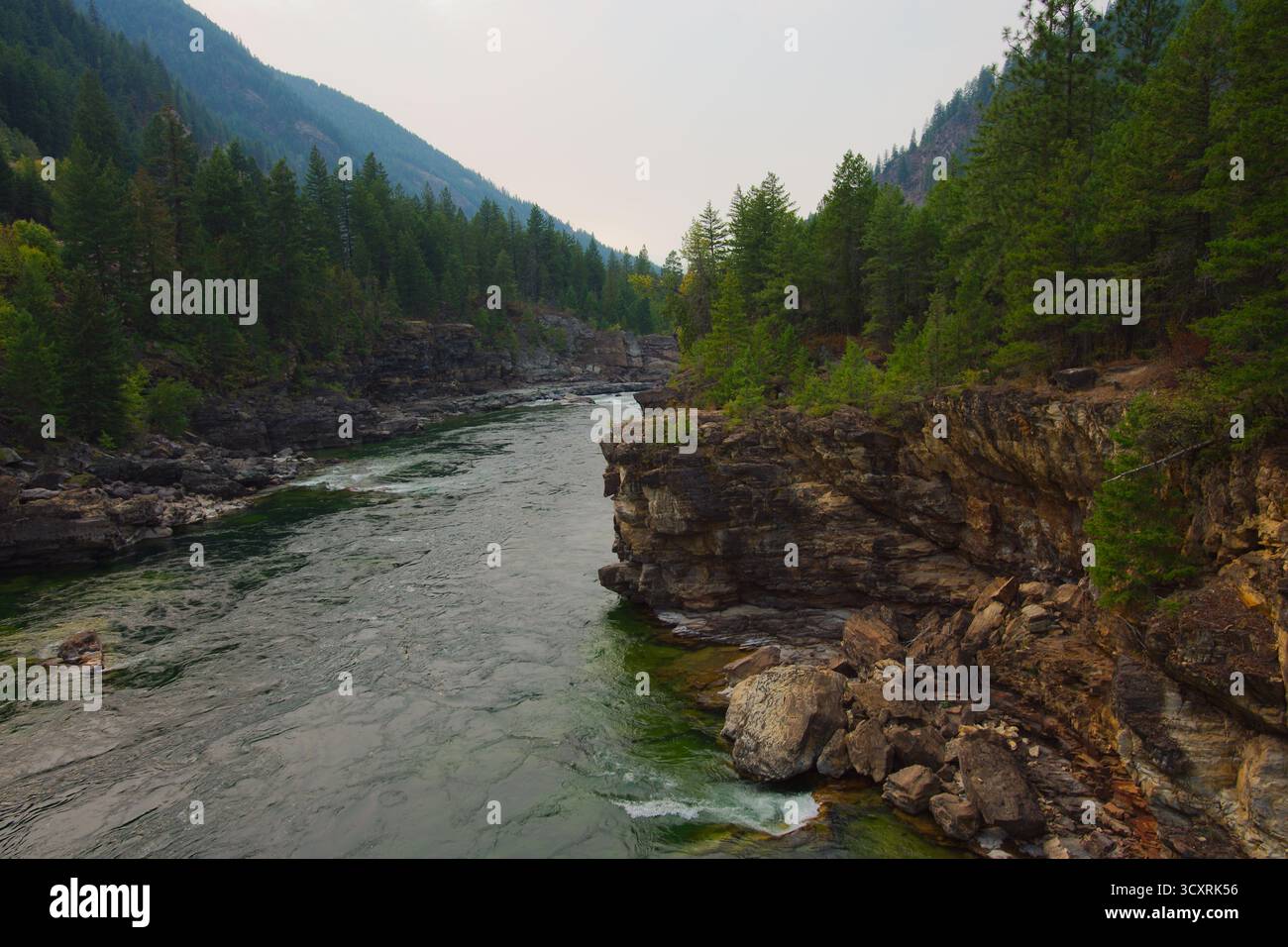 Aspro River Canyon con acque turchesi e scogliere boscose - scenario di vista escursionistico. Foresta nazionale di Kootenai nel Montana. Intaglia un canyon attraverso roc Foto Stock