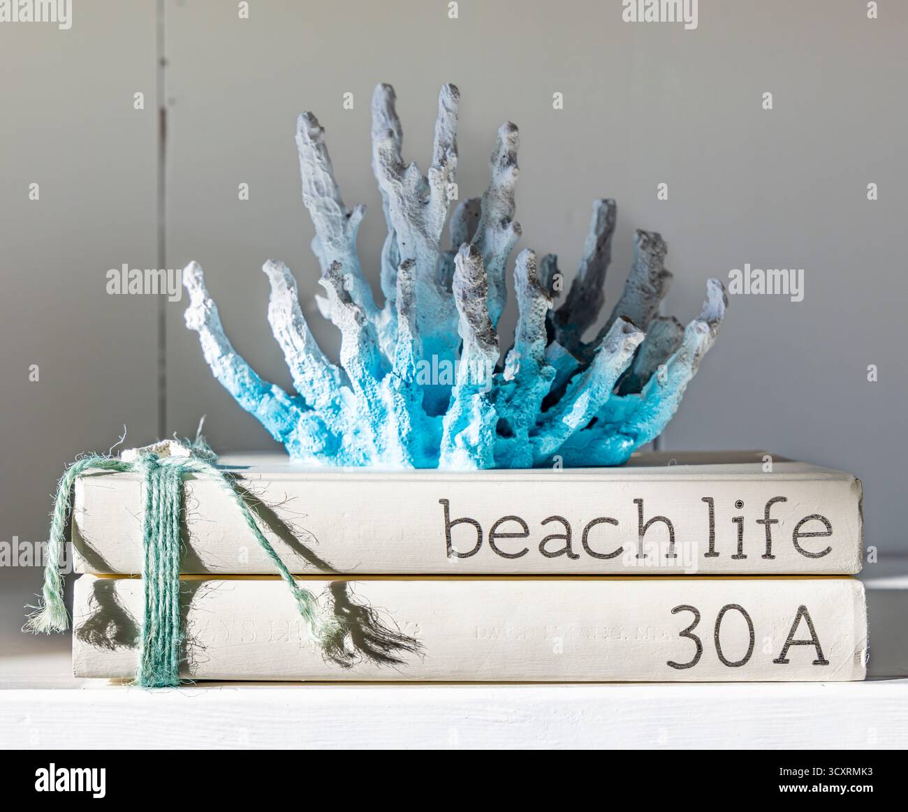 natura morta con due libri e corallo in una casa 30a Foto Stock