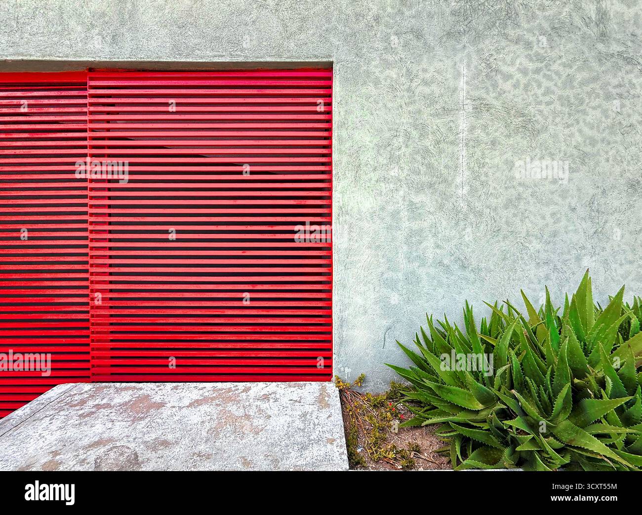 Architettura moderna con una porta con ferri di colore rosso adagiata su una parete di cemento testurizzato, accompagnata da un lussureggiante fogliame verde - Immagine stock catturata con smartphone