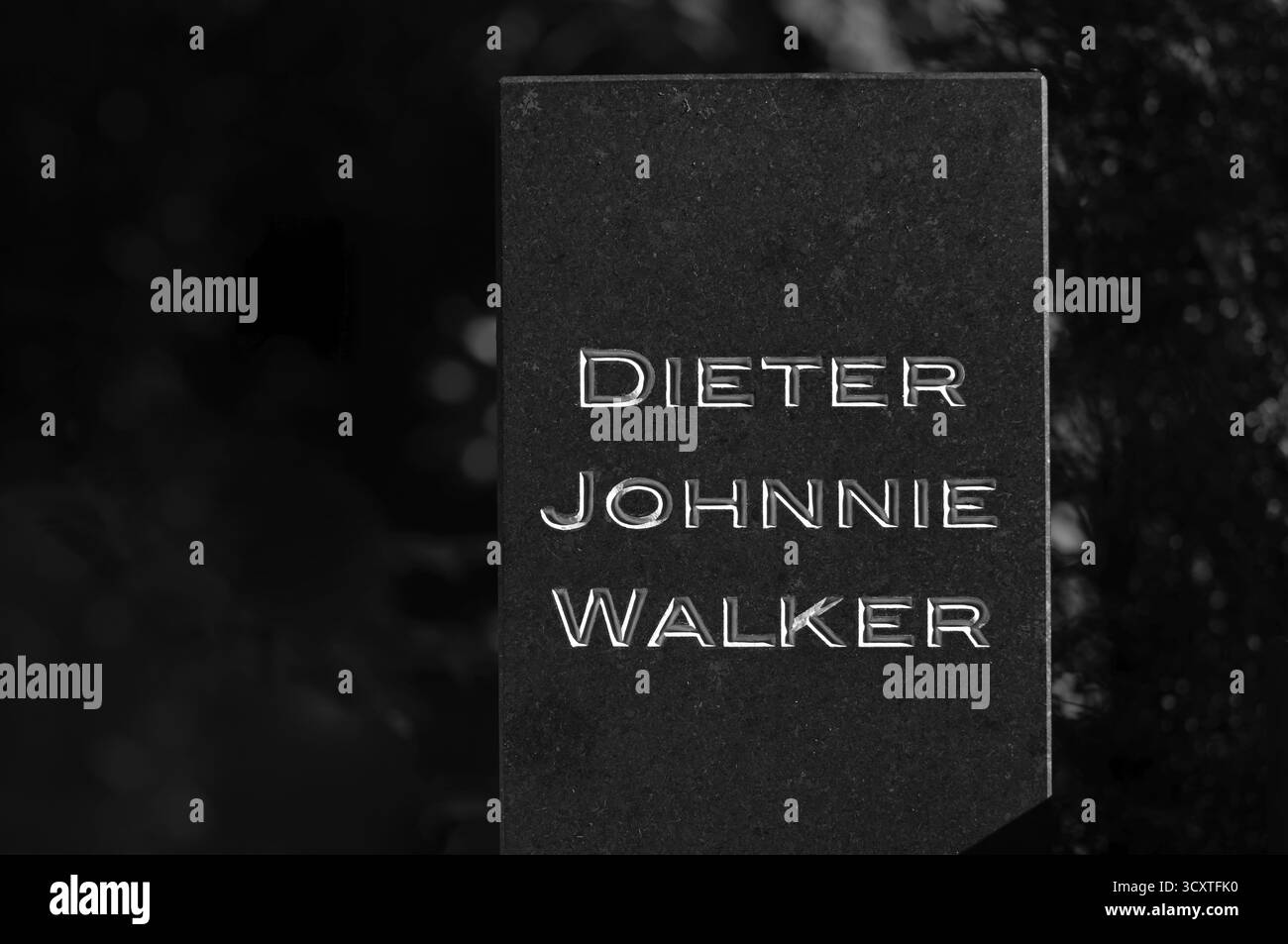 Tomba, tomba di Dieter Johnnie Walker, Waldfriedhof, bianco e nero, Stoccarda, Baden-Wuerttemberg, Germania Foto Stock