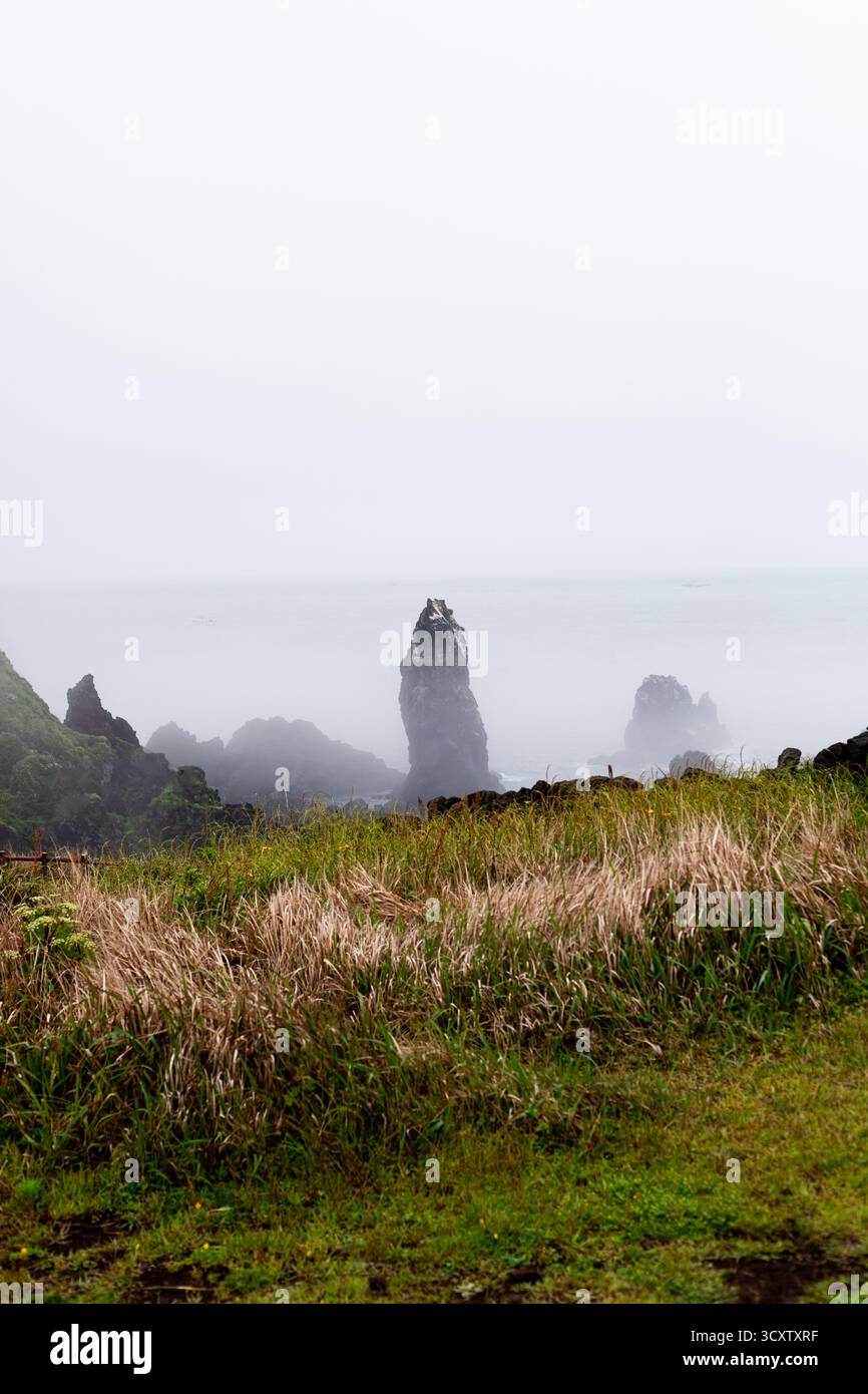 Sentiero costiero di Cape Seopjikoji, Isola di Jeju Foto Stock