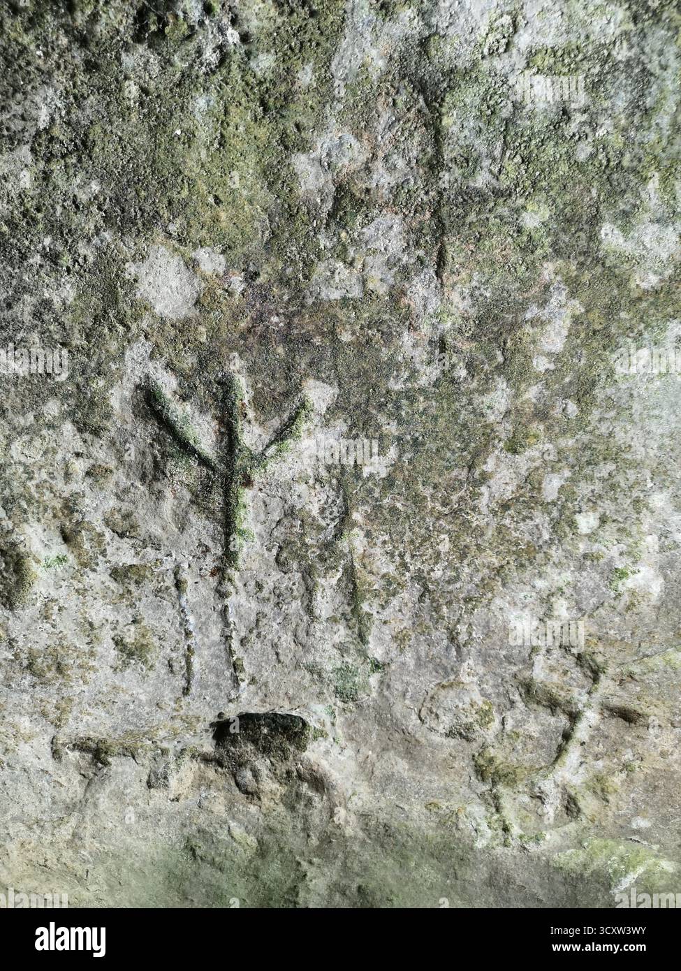 Nun's Cave, Ross of Mull, Scozia, antico sito cristiano con croci intagliate vicino alla baia di Ardalanish, all'isola di Mull, alle Ebridi interne vicino agli archi di Carsaig. Foto Stock