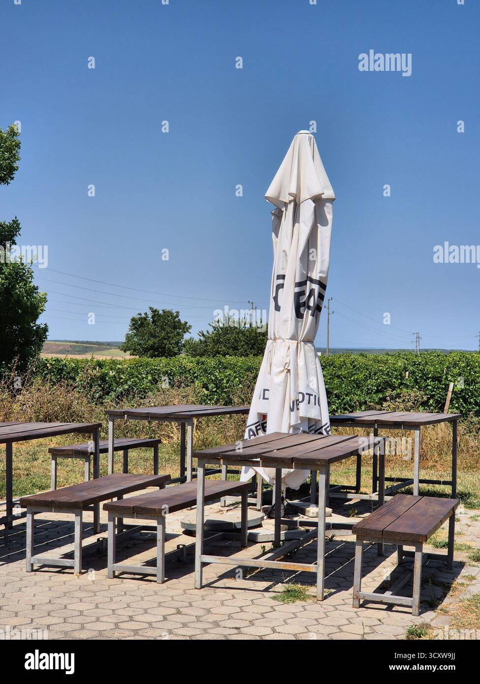 Tavolo in legno con ombrello ripiegato sullo sfondo del vigneto. Area picnic - Immagine stock catturata con smartphone