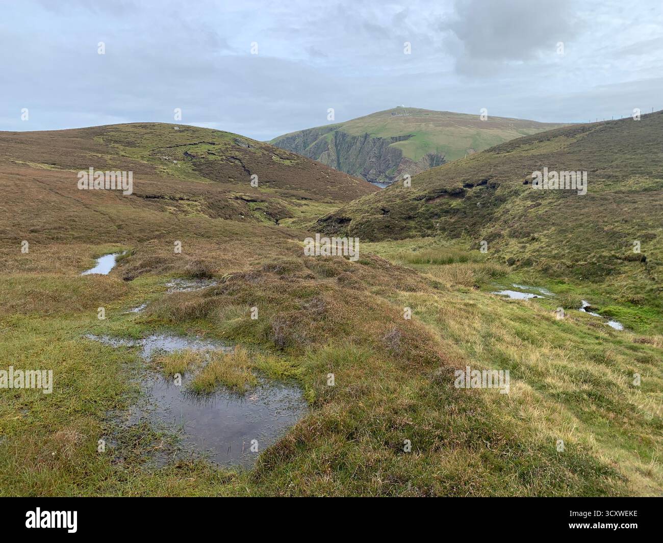 Riserva naturale di Hermaness Shetland isles Island Regno Unito Scozia passeggiate inglesi vista a piedi trekking di mare uccelli Parco Nazionale Gulls scogliera Faro - Immagine stock catturata con smartphone