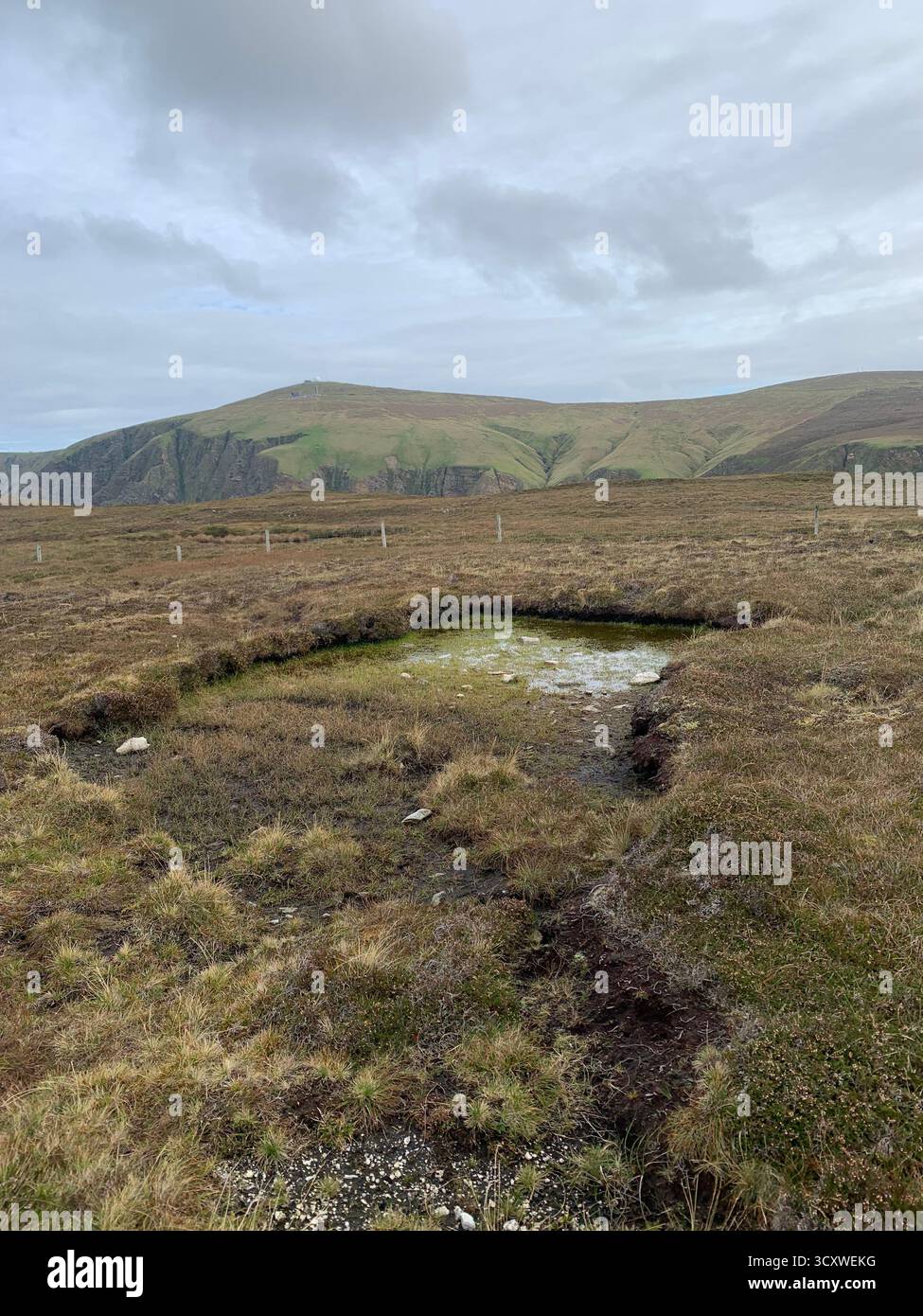 Riserva naturale di Hermaness Shetland isles Island Regno Unito Scozia passeggiate inglesi vista a piedi trekking di mare uccelli Parco Nazionale Gulls scogliera Faro - Immagine stock catturata con smartphone
