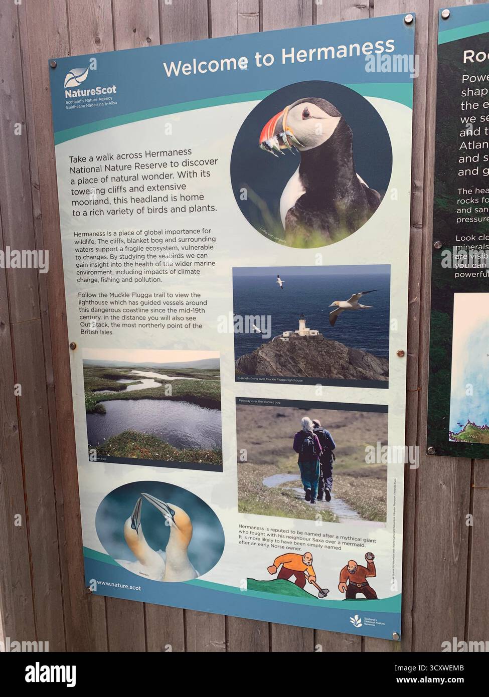 Riserva naturale di Hermaness Shetland isles Island Regno Unito Scozia passeggiate inglesi vista a piedi trekking di mare uccelli Parco Nazionale Gulls scogliera Faro - Immagine stock catturata con smartphone
