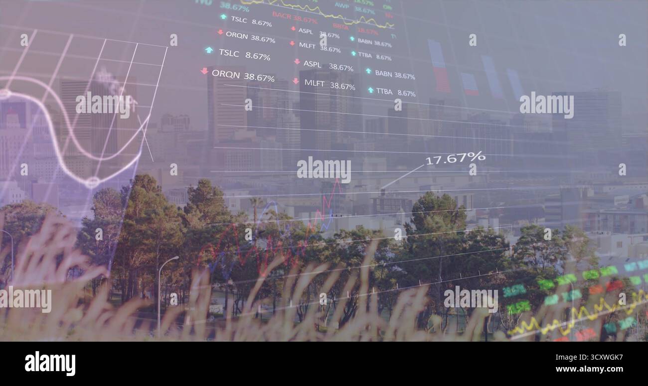 Sovrapposizione di erba e skyline con sottili grafici a linee, istogrammi, 17 Foto Stock