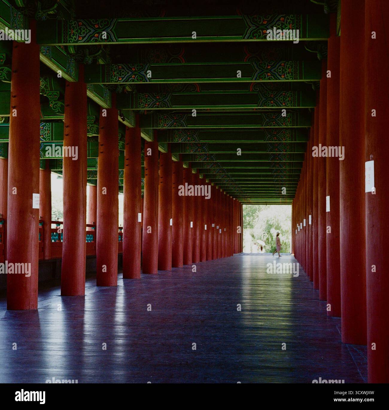Tradizionale corridoio in legno con pilastri rossi e motivi dancheong verdi a Gyeongju, Corea del Sud - fotografia ripresa su Rolleiflex Foto Stock
