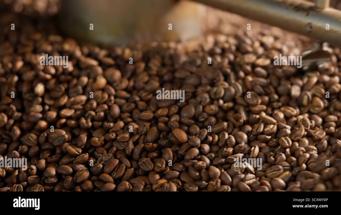 Primo piano di chicchi di caffè tostati che si mescolano nel miscelatore, frullano la macchina automatica a tamburo di metallo, mescolando la caffeina di cacao tostato presso lo stabilimento di produzione Foto Stock