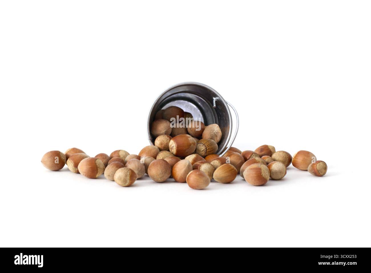 Un piccolo secchio di metallo pieno di nocciole intere, posto su uno sfondo bianco pulito, che ne sottolinea la naturale consistenza e ideale per il cibo, la salute, Foto Stock